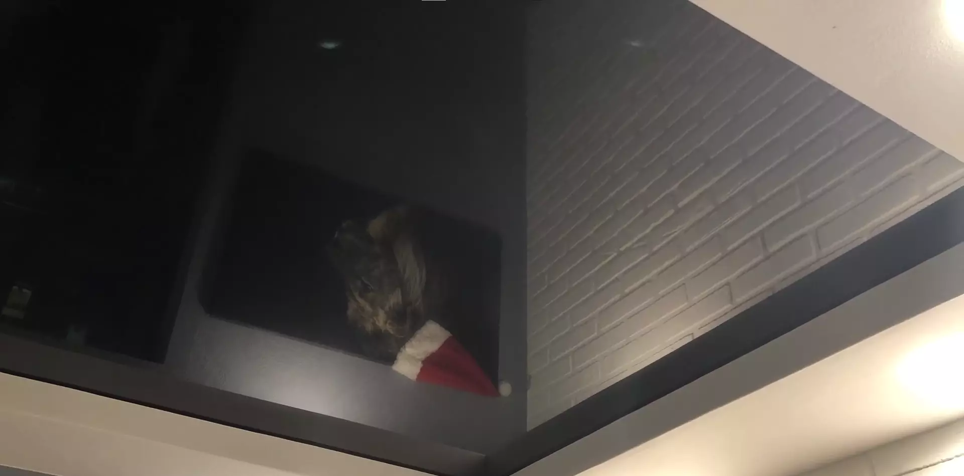 Барнаул, Советская, 13, фото 3