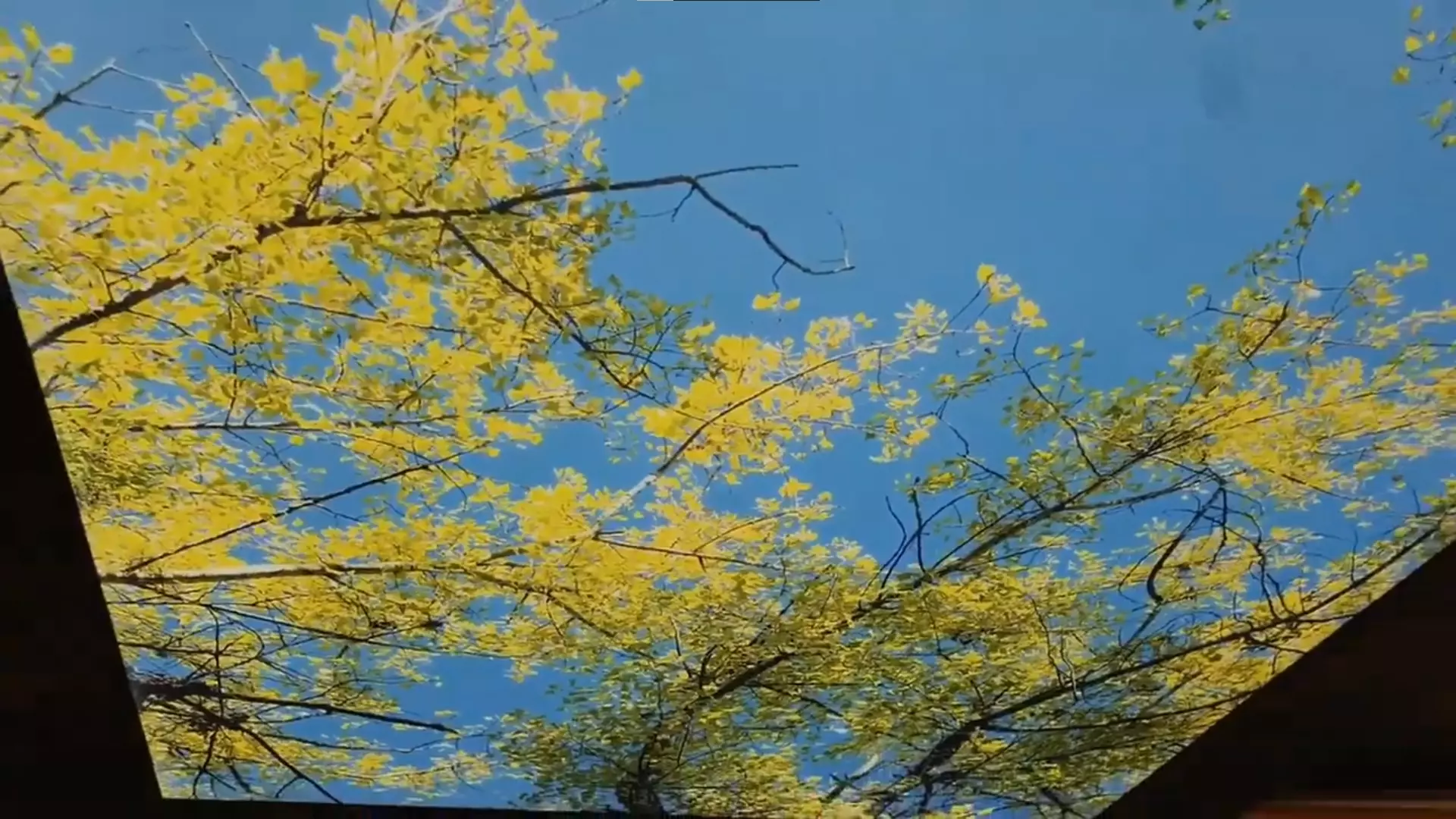 Барнаул, Пионеров, 17, фото 2