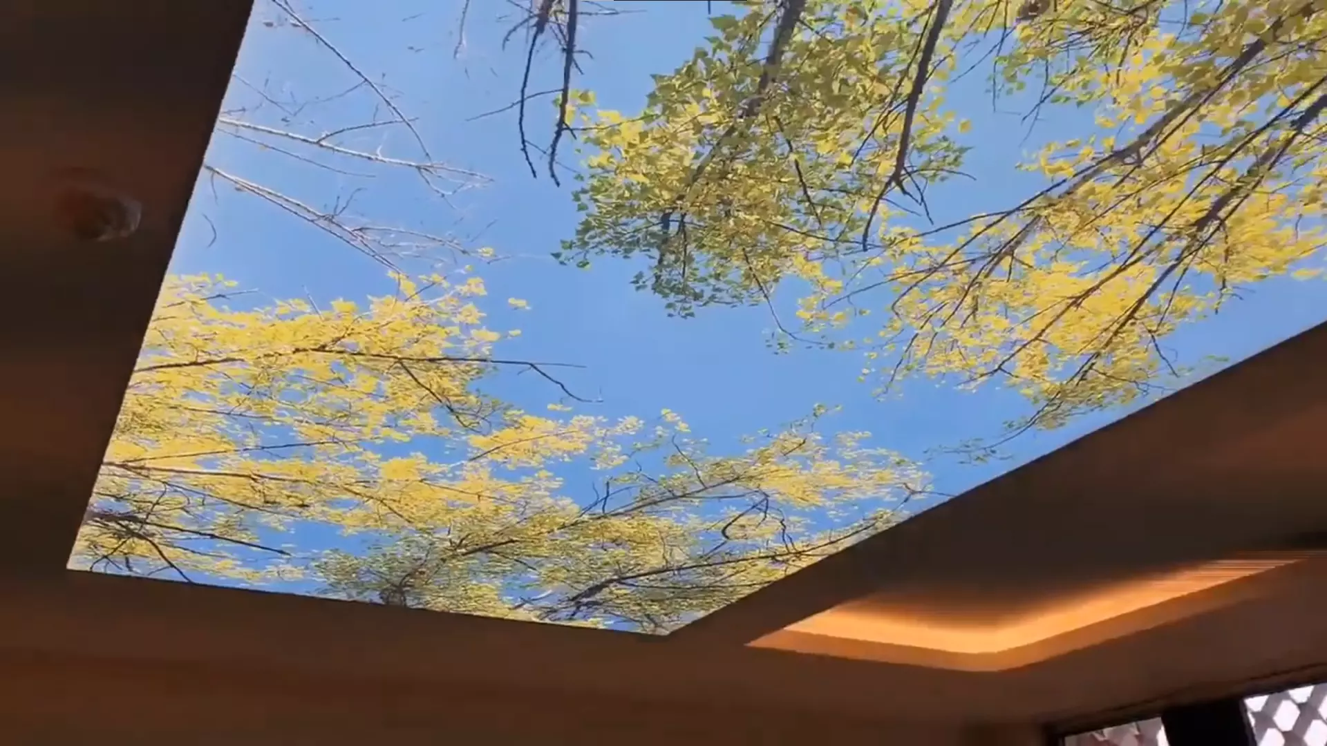 Барнаул, Пионеров, 17, фото 3